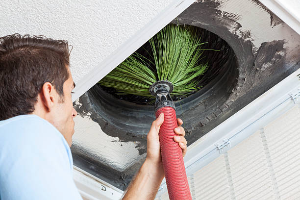 Best Air Vent Cleaning Services  in Wintersville, OH